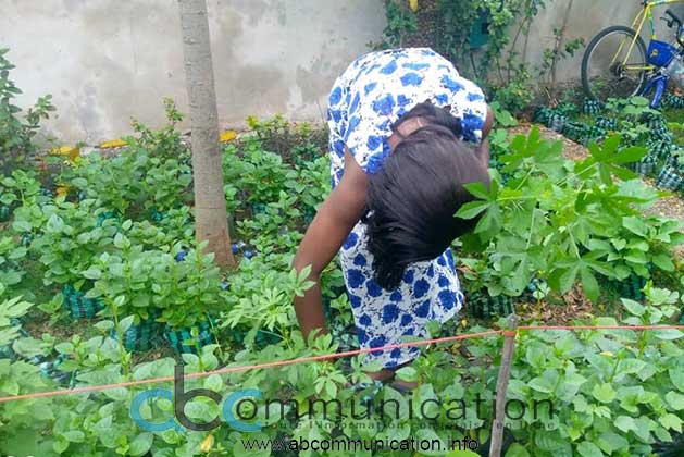 La Nogecom inaugure la phase de récolte d’un Potager Chez Soi